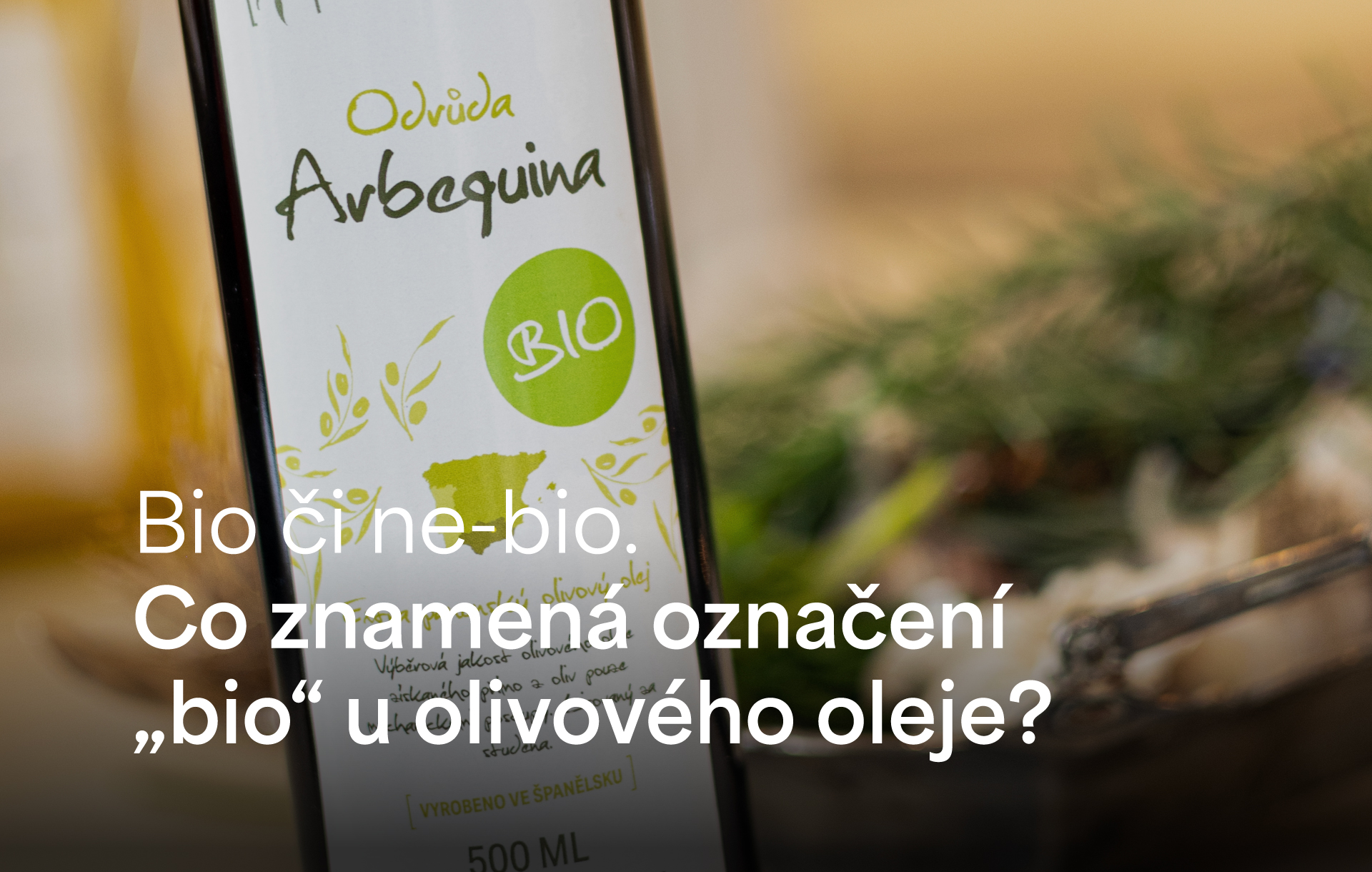 bio-blog-1